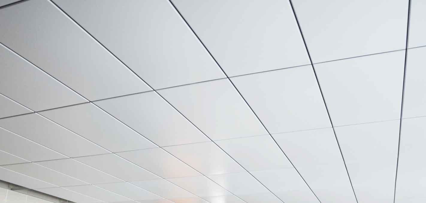 Sky-One Lay-in Ceiling view 2