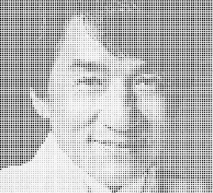 Metal Mesh Facade view 2